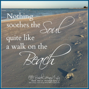 Nothing Soothes the Soul quite like a Walk on the Beach (Seagulls ...