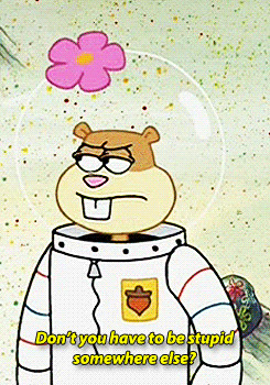 Spongebob Squirrel Sandy Cheeks