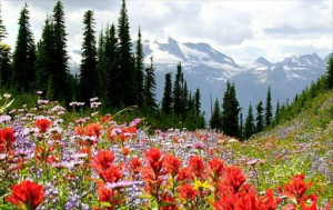 Me mostrarás la senda de la vida; en tu presencia hay plenitud de ...