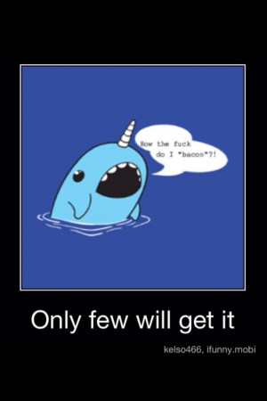 Poor, confused narwhal lol