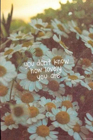 daisy, flowers, love, lovely, quotes, sweet, you