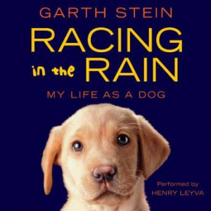 Racing in the Rain, Garth Stein