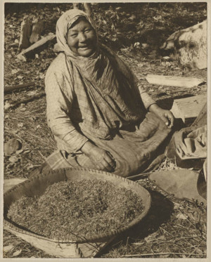 Ojibwe Wild Rice Indian