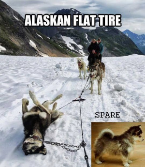 An Alaskan Flat tire and the spare :D