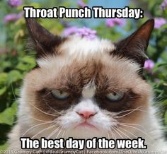 Throat-punch Thursday. Best day of the week. More