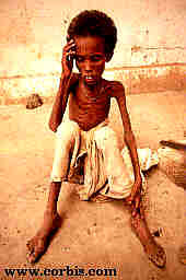 1984: Famine