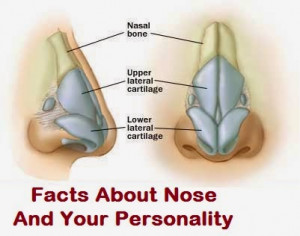 What your nose says about your personality?