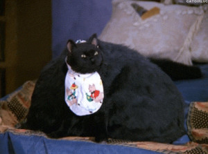 sabrina-fat-cat