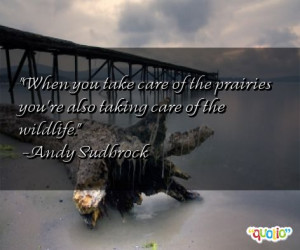 Quotes about Prairies