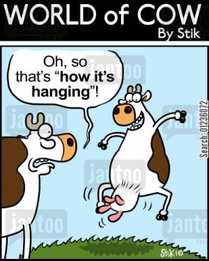 platitudes cartoon humor: Oh, so that's 'how it's hanging'!