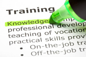 Do You Have Training Processes in Place?