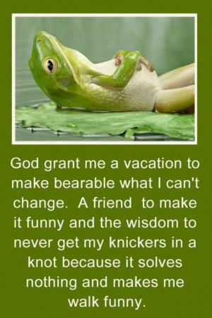 Advice from a frog
