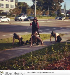 My co-worker’s friend just saw this in Florida while driving..they ...