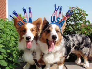 If the fireworks on our cheap holiday-themed headbands from Target ...