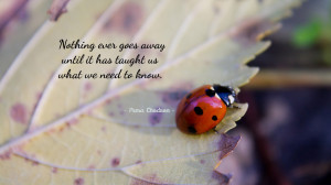 Nothing ever goes away... quote wallpaper