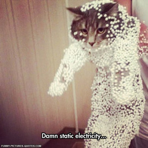Static Electricity Vs. Cat | Funny Pictures and Quotes