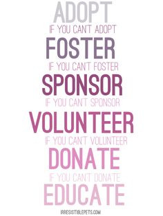 Foster Sponsor Volunteer Donate Educate... at least one of these can ...