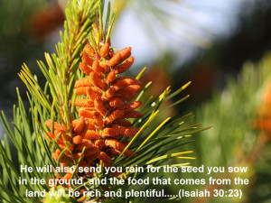 He will also send you rain for the seed you sow