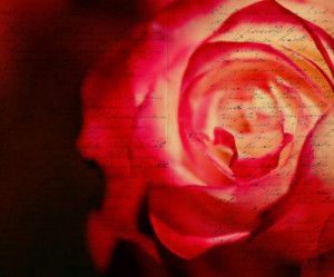 Funny Quotes Contact Dmca...