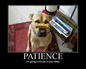 The art of Patience
