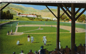 Chicago Cubs Spring Training History picture