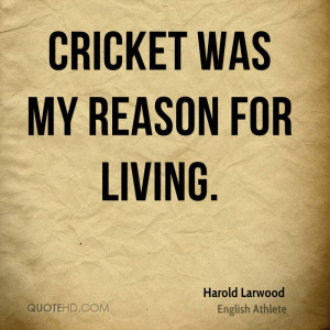 Cricket was my reason for living.