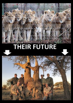 Breeding factory for trophy hunters