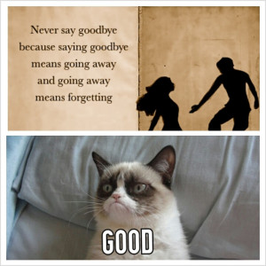 Cat Saying Bye
