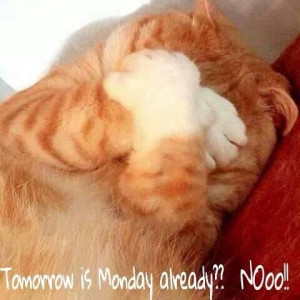 Tomorrow is Monday already??!!! :(