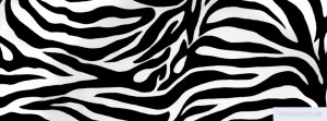 zebra print colorful zebra print