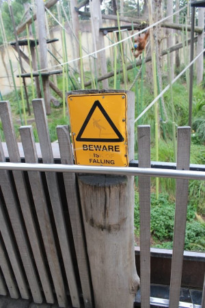 Ignorance+quotes+in+fahrenheit+451