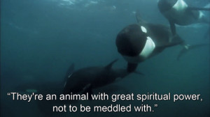 ... quote, just a general quote that was included in Blackfish2