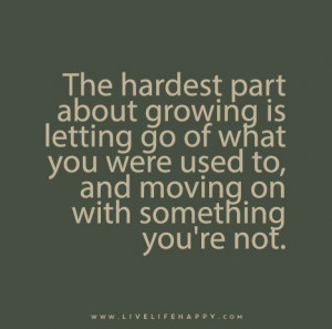 Quotes About Not Letting Go of Something to Be