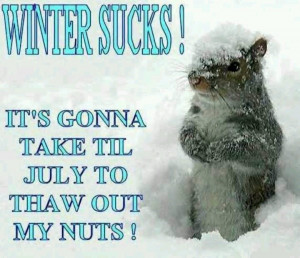 Winter Sucks funny squirrel