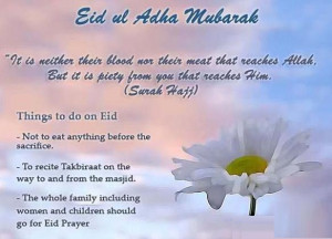 posted in cards eid and ramadan quotes letters and poems religious ...