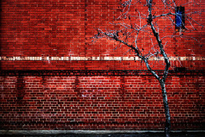 Brick Walls Are There For a Reason;