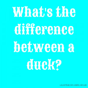 What's the difference between a duck?