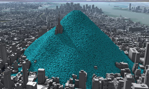 negative effects of overpopulation