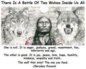 Native American quote