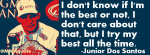 Junior Dos Santos Quotes