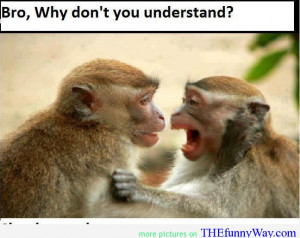 monkey-are-smart-smart-quote-monkey-quote-funny-monkey-Favim.com ...
