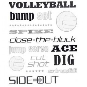 Volleyball Sayings Silver Foil Stickers