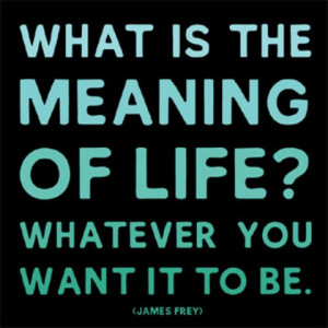 Quotes About The Meaning Of Life Biography