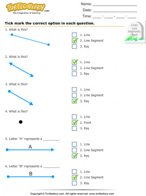 Line Segments Lines and Rays Worksheets