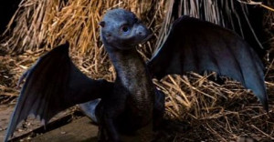 baby saphira the dragon As a baby, whenever