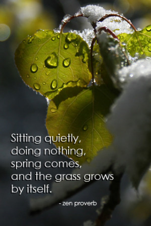 Download ZenGo - Zen Quotes, Inspirational Quotes and Wallpaper iPhone ...