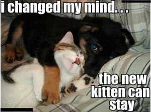 481871_10151350225366900_1868683200_n