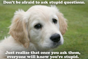 animal quote inspiring animal quotes inspirational animal quotes ...