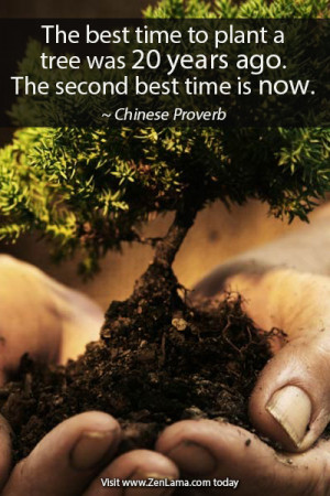 Inspiration Quote: The best time to plant a tree was 20 years ago ...