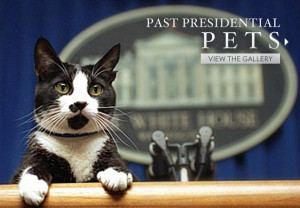 And this one features the current resident of the White House dog ...